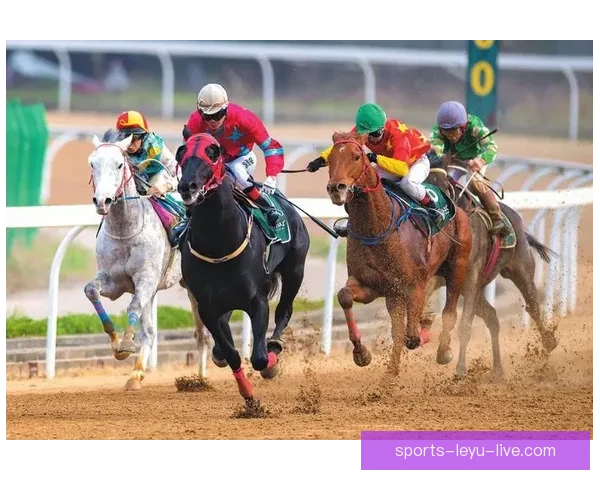 体育竞猜赔率解析与策略研究 提升精准预测与投注回报