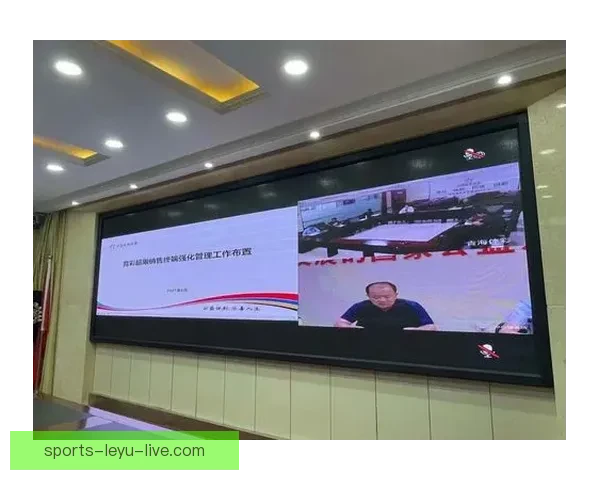 全面解析体育竞猜平台发展趋势与风险管理策略