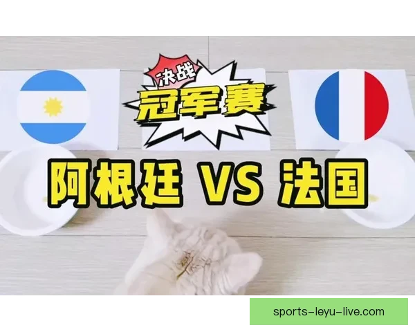 世界杯精彩对决全解析及精准比分预测指南